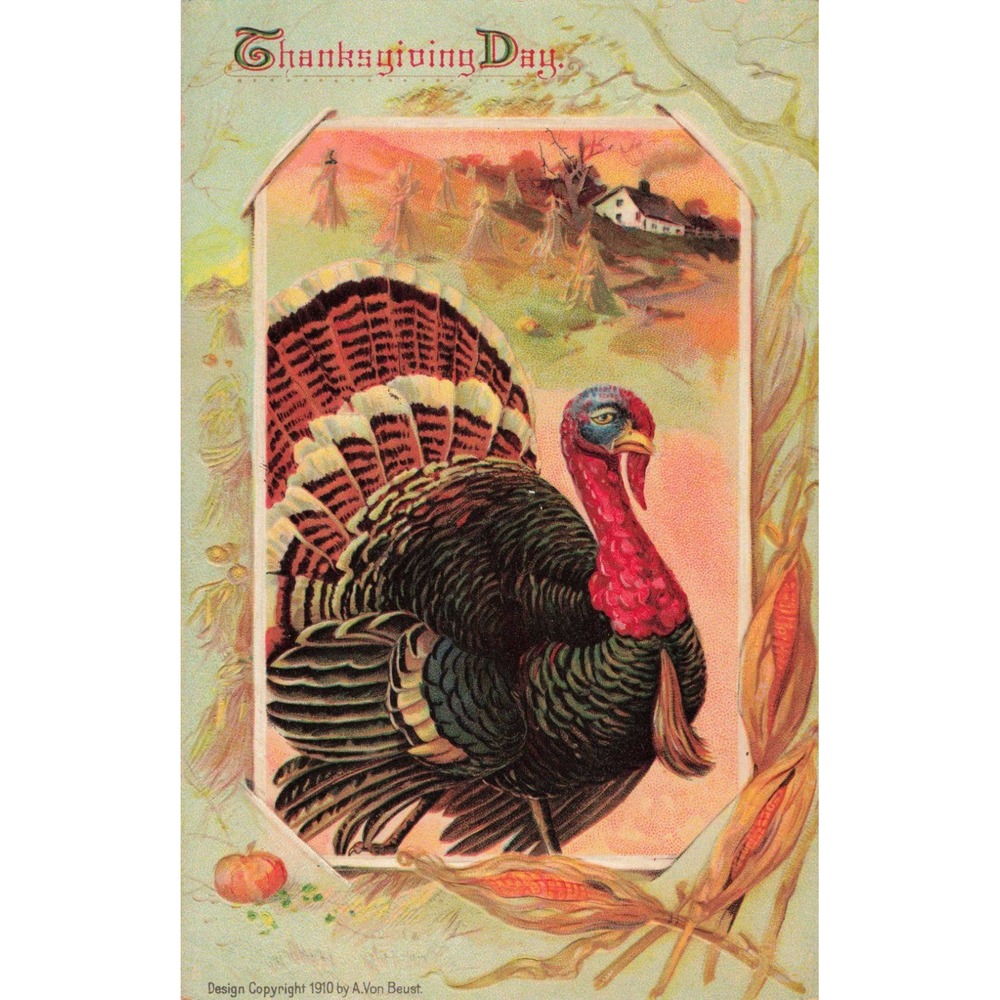 Vintage 1910 Thanksgiving Day Postcard Turkey A Von Beust Embossed Germany 131 - Picture 1 of 2